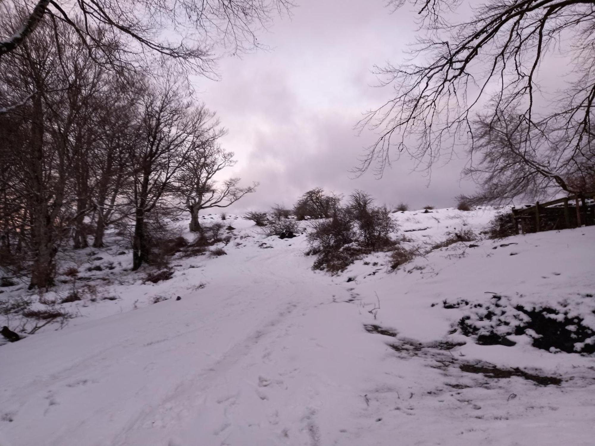 Argixti Konuk evi Sumbilla Dış mekan fotoğraf